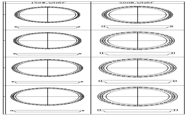 150 DIA and 300 DIA WNRF plan Detail DWG AutoCAD file