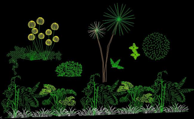 Trees CAD Blocks Download in DWG Format for Landscape Design