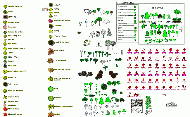 2D Plant Tree CAD Block Drawing for Landscape Design Layouts