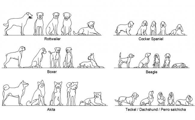 Breeds Dogs CAD Blocks Drawing Free Download DWG File