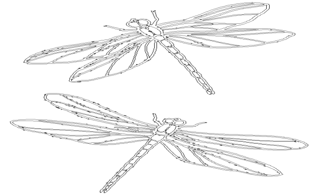 Dragon fly design for kids bedroom wall art dwg autocad drawing .