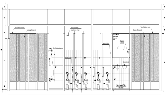 Public toilet elevation and interior detail DWG AutoCAD file