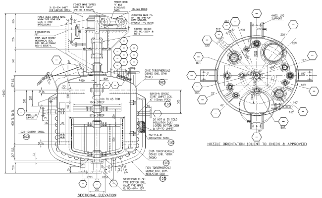 Reactor Sectional Elevation and Nozzle Orientation detail DWG AutoCAD file