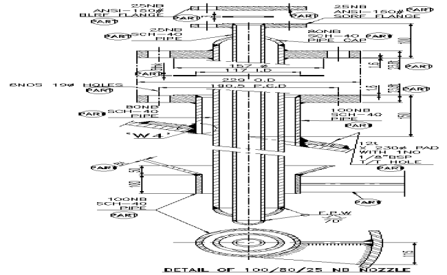 Section Detail of 100, 80 & 25 NB Nozzle DWG AutoCAD File