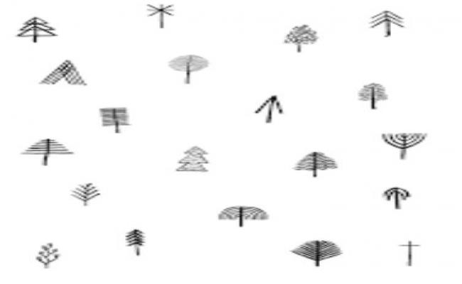 TREES