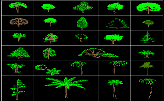 Arboles and Palmeras Design for Outdoor Landscape Planning DWG File