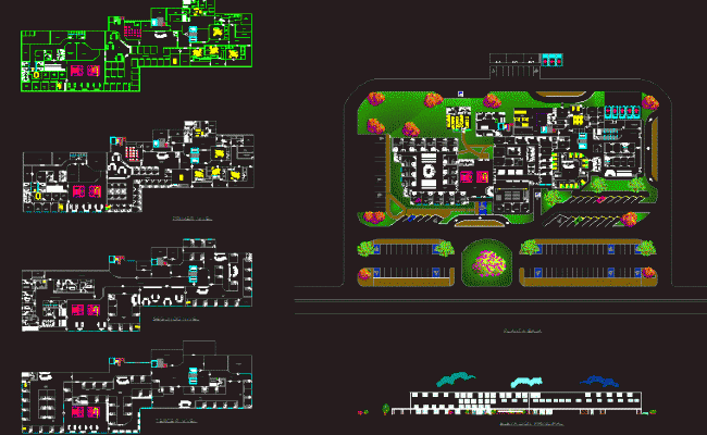 Private Hospital DWG Layout Showing Wards, OPD, and Service Areas