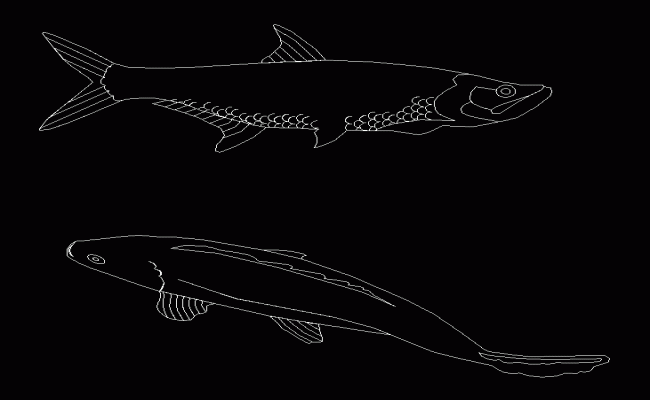 2D Fish CAD DWG drawing for decorative and architectural designs