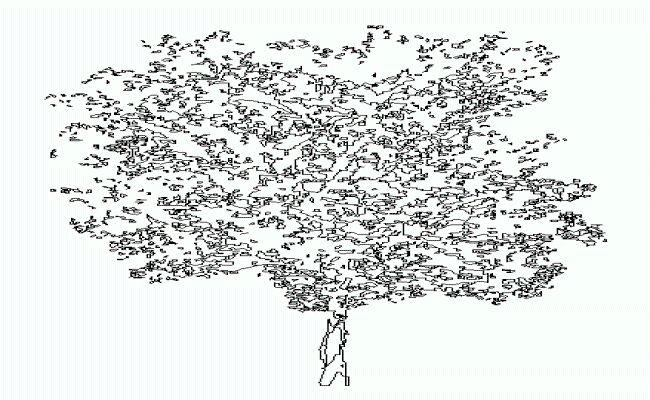 Tree Elevation AutoCAD for Landscape and Architectural Design Layouts