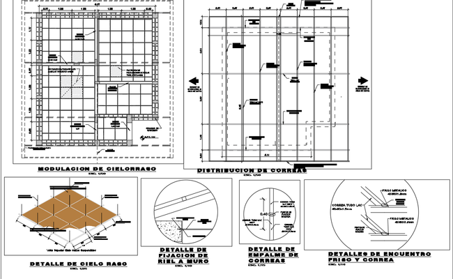 Ceiling and Purlin Layout with CAD Construction Details