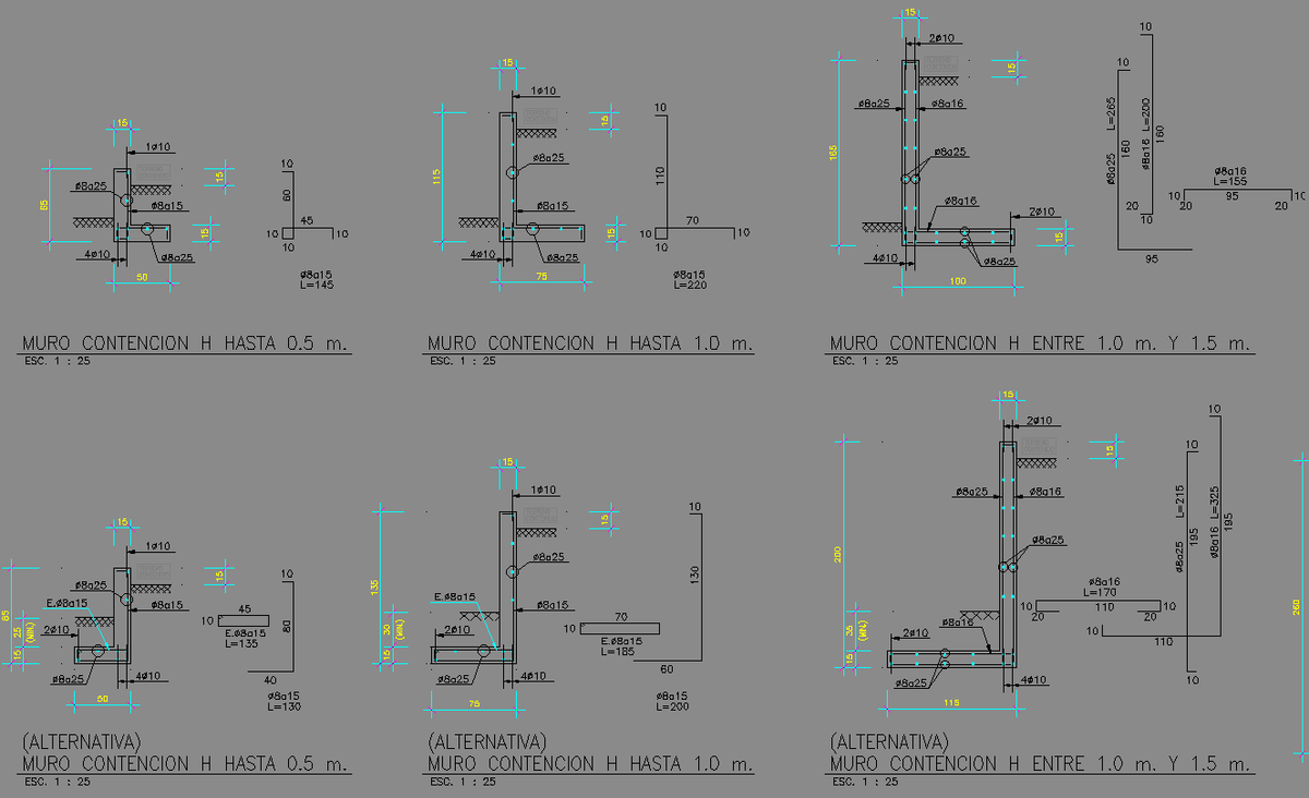 Retaining Wall Autocad Section with Reinforcement and Footing Details