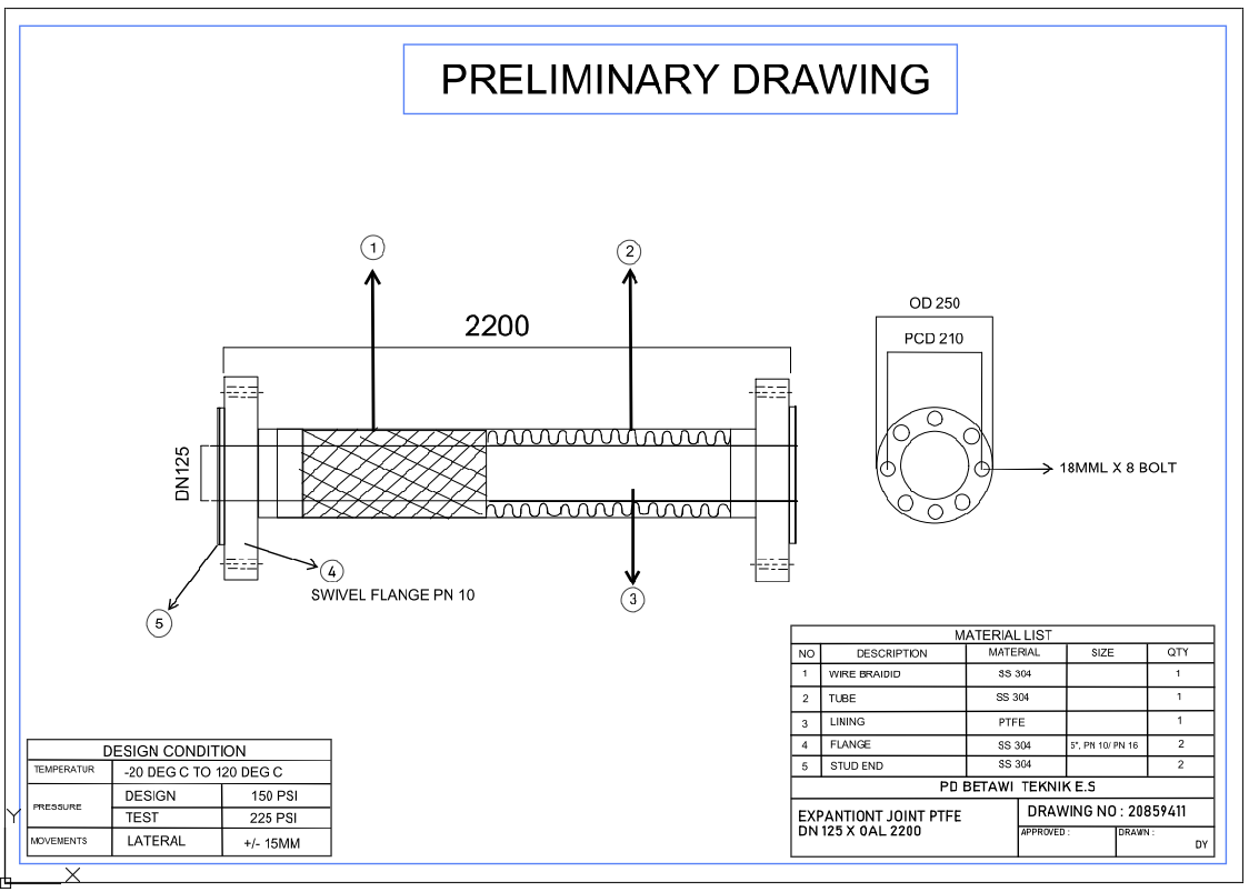 Preliminary Piping Layout DWG with 2200 mm Section and Flange Details