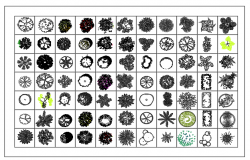 Blocks of small plants for both exterior and interior dwg file 