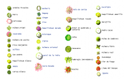 Garden Blocks dwg file