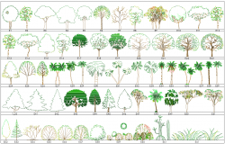 Tree Blocks autocad file