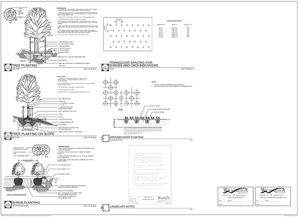 AutoCAD Tree and Shrub Planting Details with Spacing and Measurements