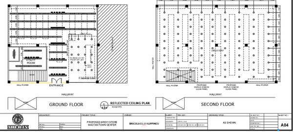 Showroom Mall Reflected Ceiling Plan AutoCAD DWG with Lighting Layout