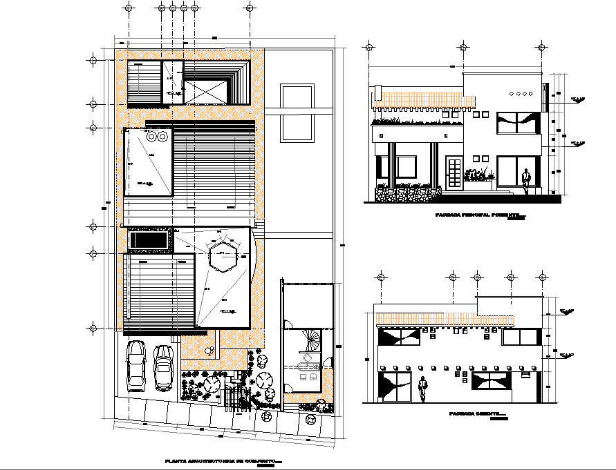 Single family home plan and section detail dwg file