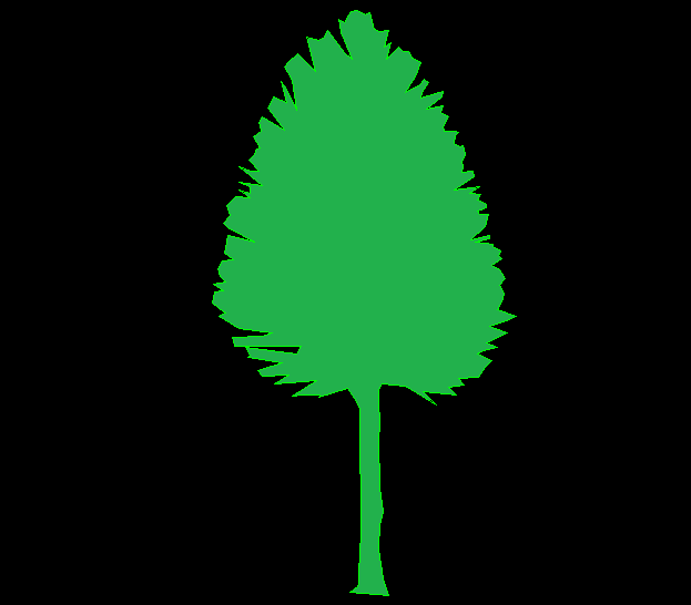 Tree Front View CAD Drawing with 2D Elevation and Design Details