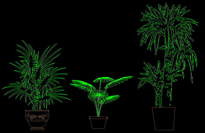 Plant CAD Drawing with Decorative Pot Design and 2D Front View