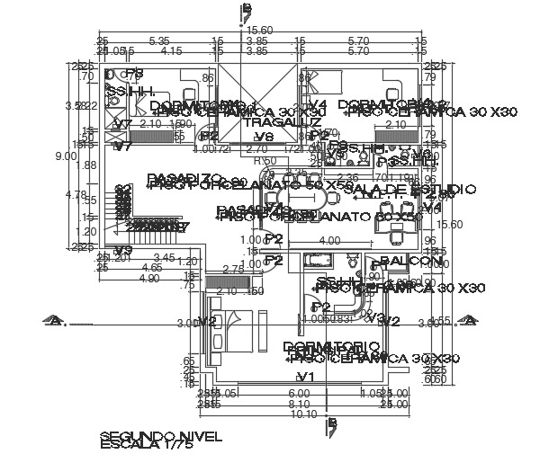 15x15m second floor multifamily house plan AutoCAD model