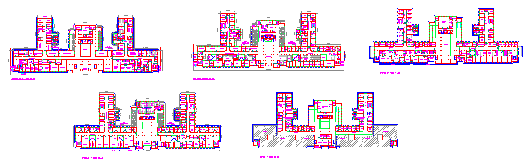 Government Hospital Project Lay-out detail