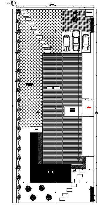 20x50m villa plan cum site layout with car parking