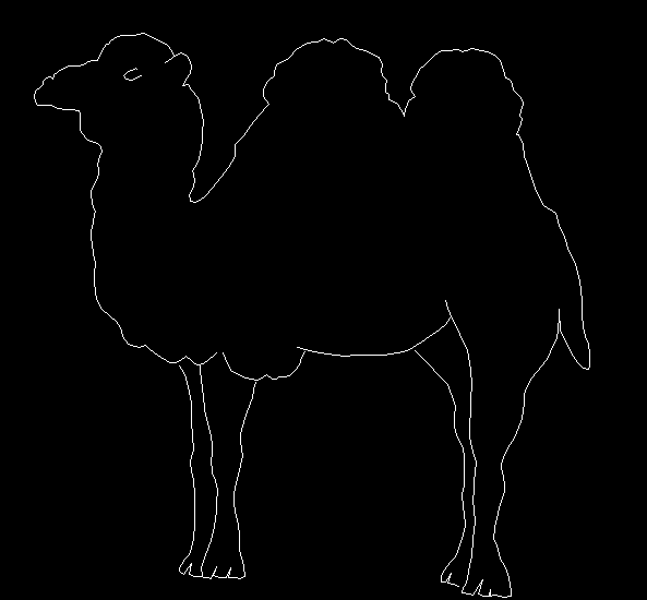 2D Camel Drawing Design in DWG File for Animal CAD Illustration