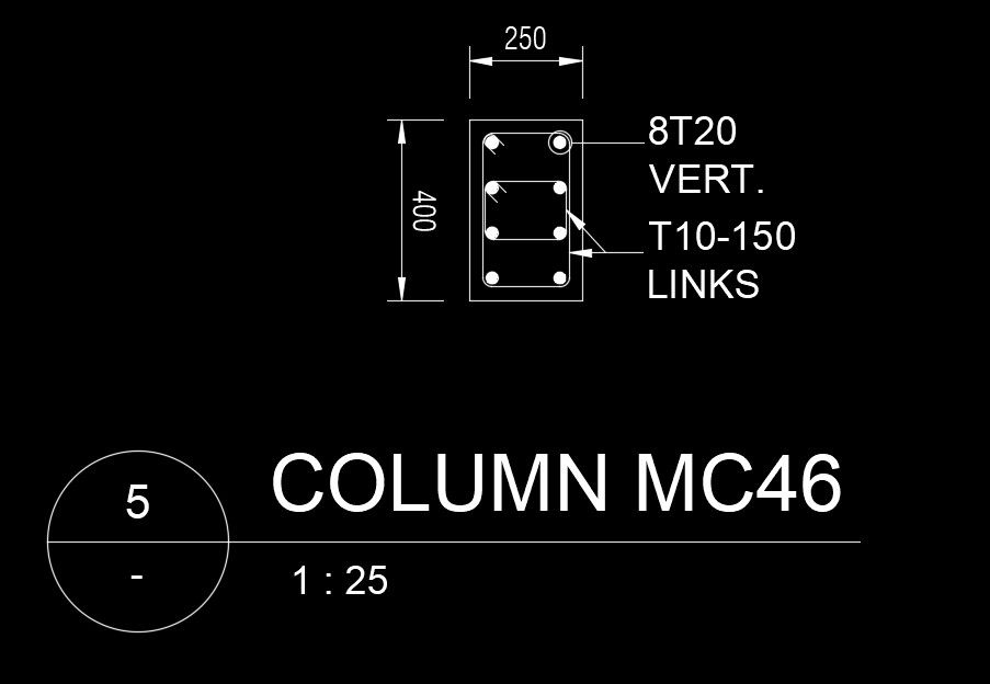 250x400mm column section AutoCAD drawing model
