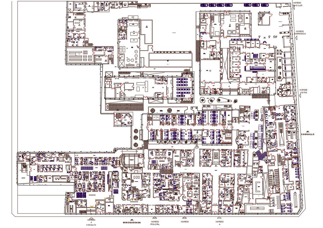 2D Hospital Master Plan AutoCAD File