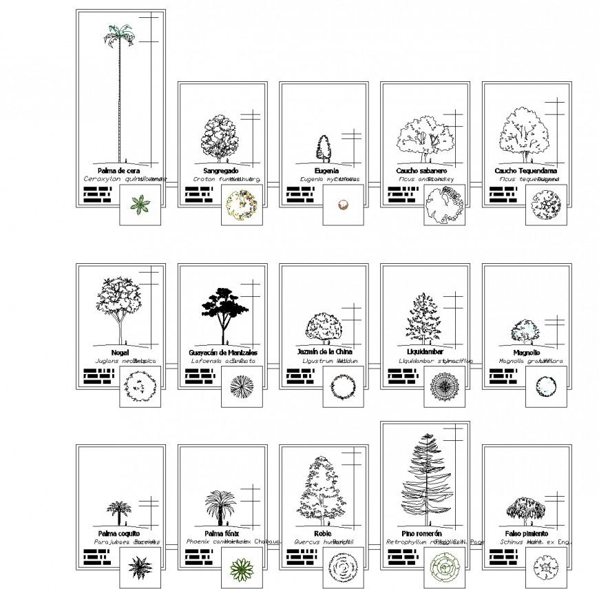 2 d cad blocks tree plan autocad file