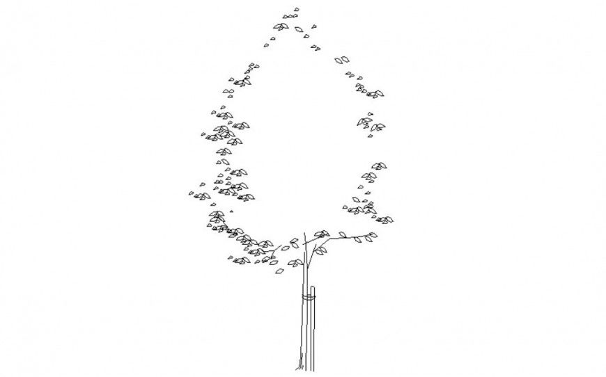 2d CAD drawing of landscaping units details in autocad