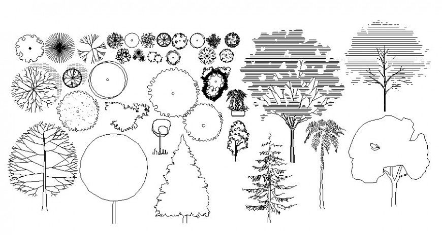 2d cad drawing of trees with all varied bushes auto cad software