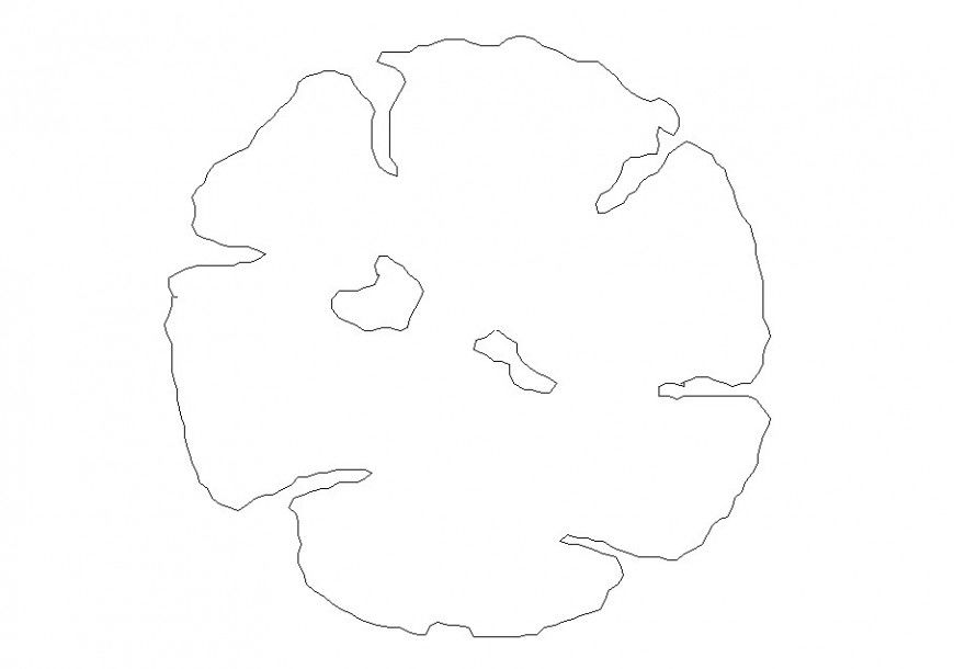 2d cad plan of the tree with the only outline.