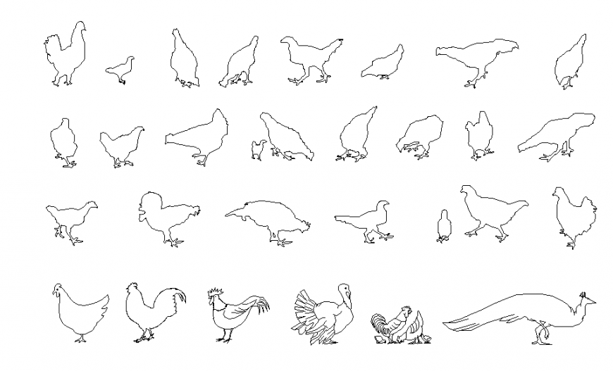 2D Different type of Bird Design