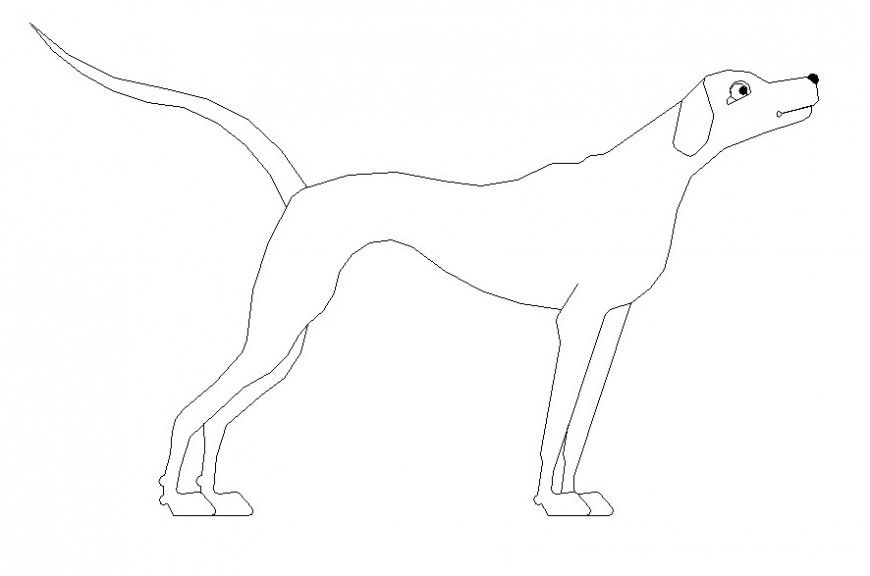 2d dog side elevation design