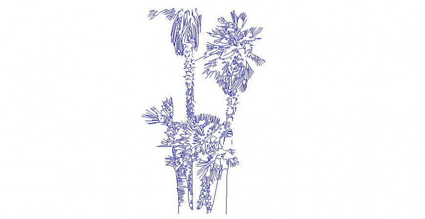 2d drawing of landscaping block of palm trees autocad file