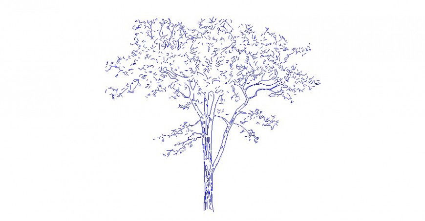 2d drawing of trees layout landscaping block autocad file