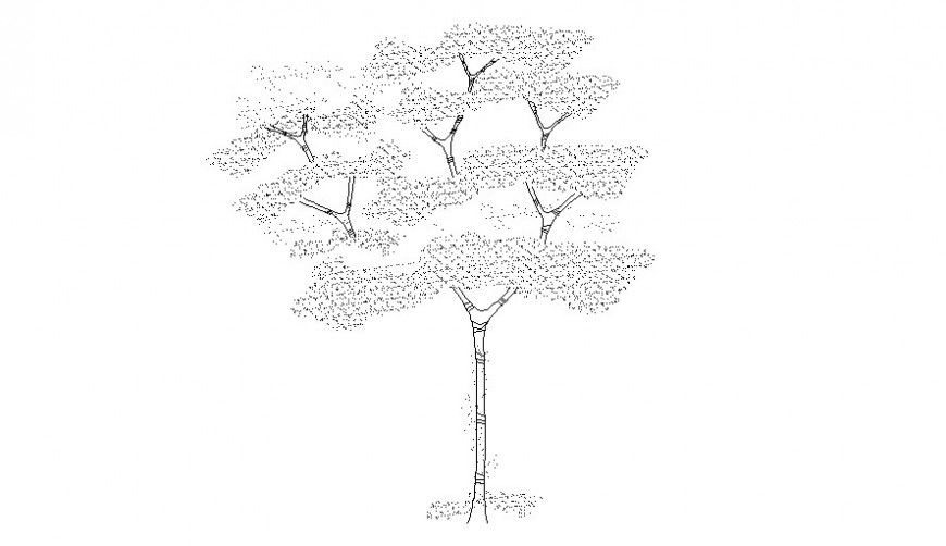 2D front view of trees plant block