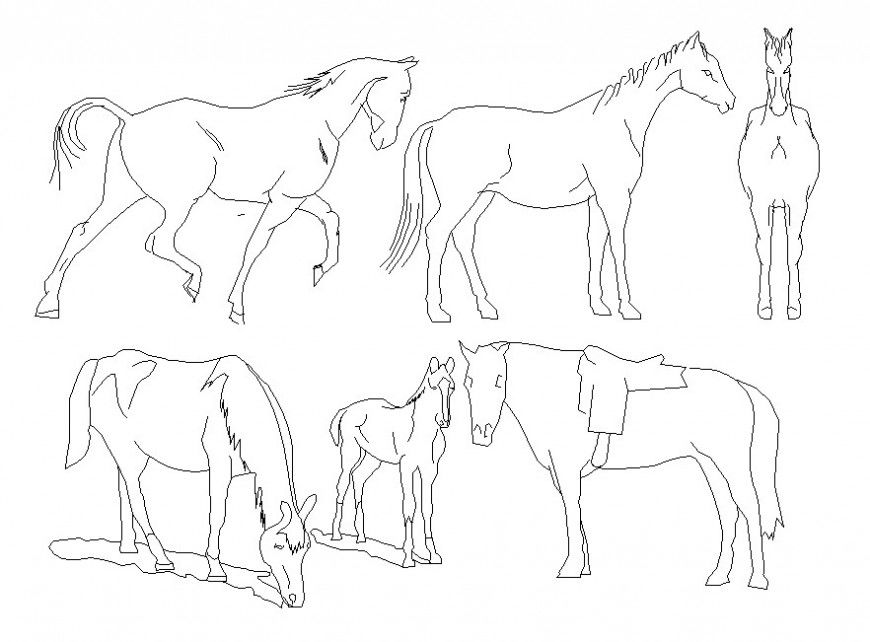 2d horse different angle view cad file