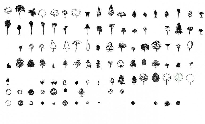 2D model Tree and plant cad plan  detail dwg file