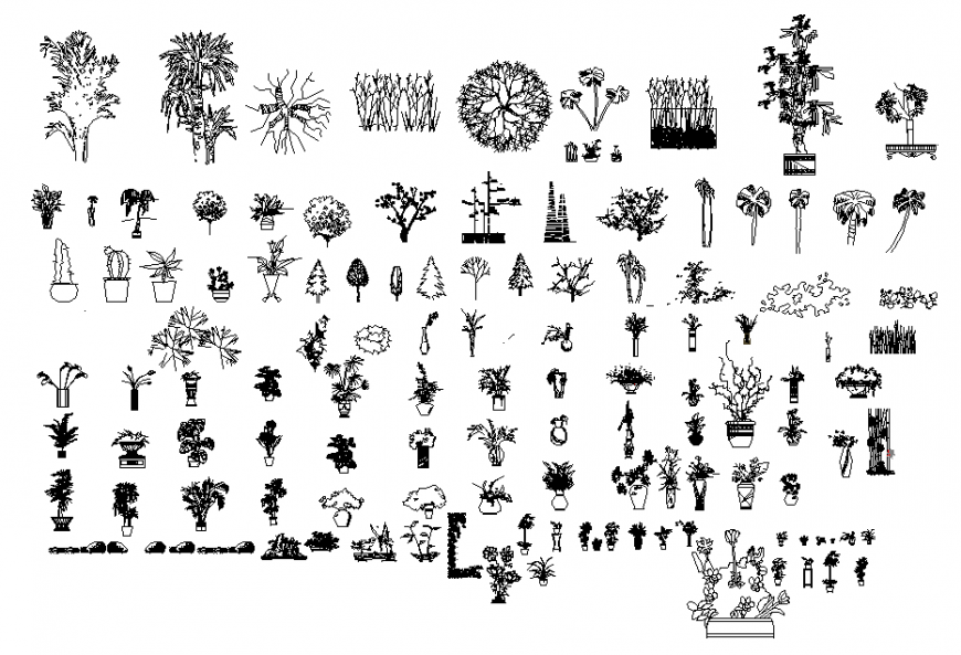 2D model Tree and plant cad plan detail