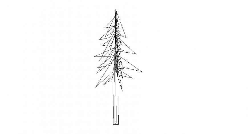 2d view elevation of landscaping palm tree detail layout autocad file