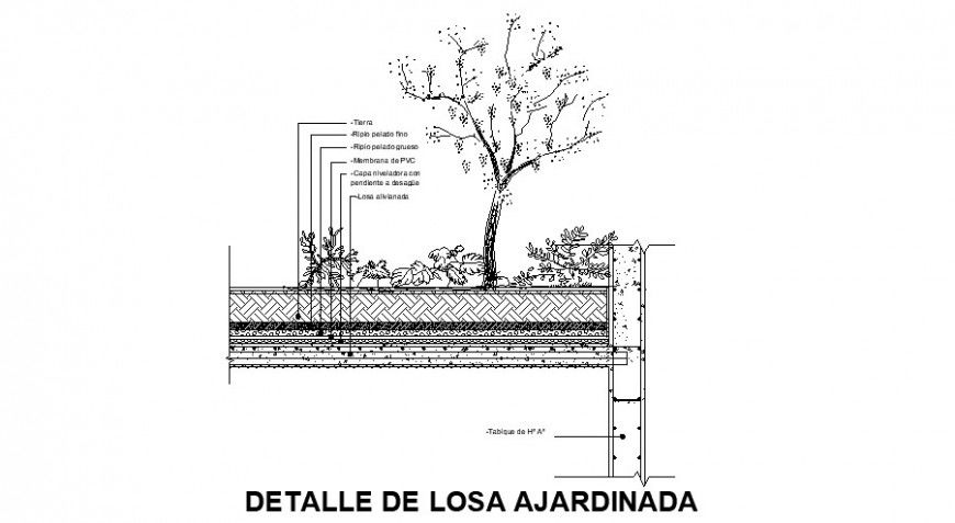 2d view of landscaping tree block with planter area detail autocad file