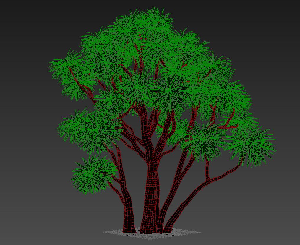 3D Cordyline Australis MAX File