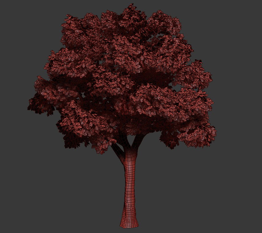 3D Model Of Platanus Summer Tree MAX File