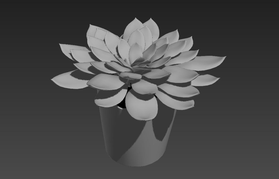 3D MAX File of Succulent Plants for Landscape Projects