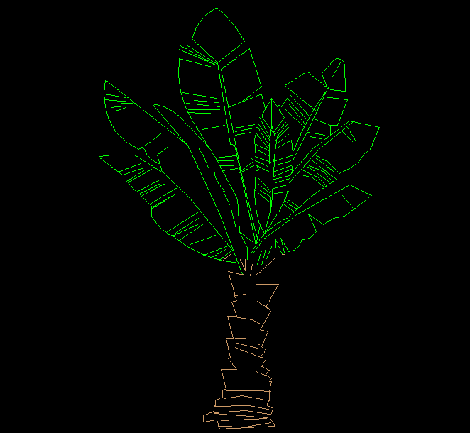 Banana Tree CAD Drawing with Detailed 2D Front Elevation Design