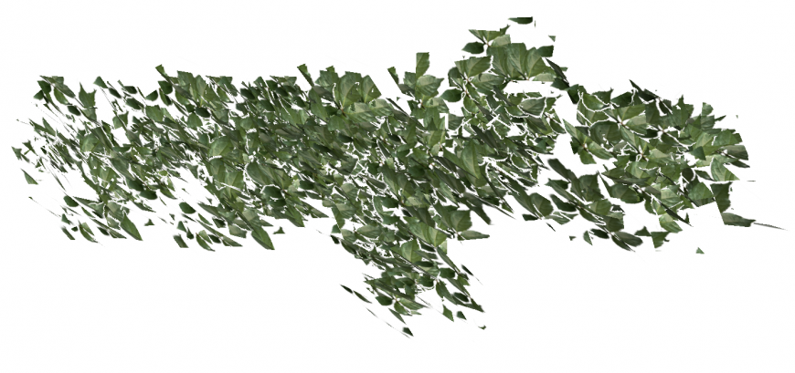 3d drawing of leaves in skp file.