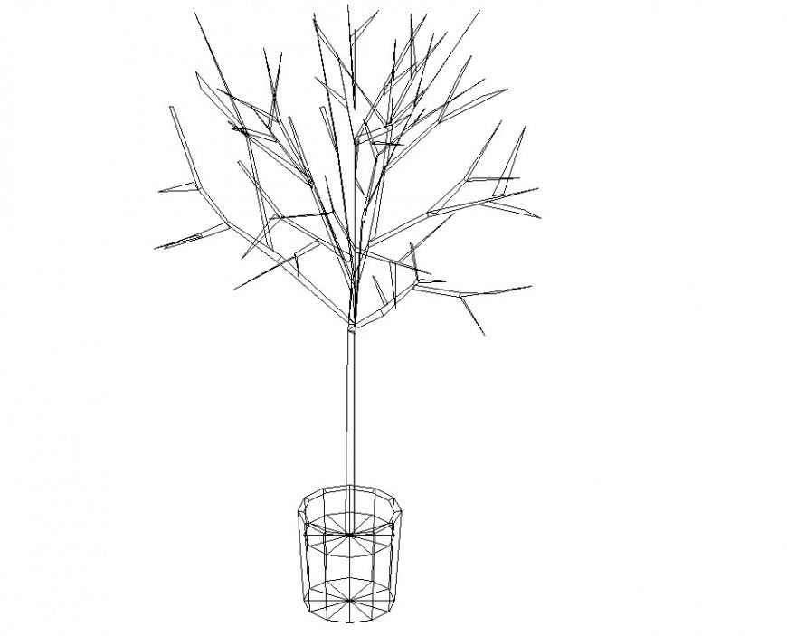 3d drawing of small tree in dwg file.